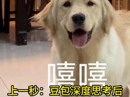 豆包深度思考后决定开怼ZC#抽象#内容过于真实#搞笑#豆包app