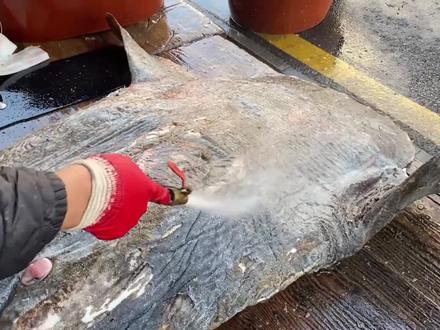 分解翻车鱼,过程让人意外,里面竟然还有几条鱼