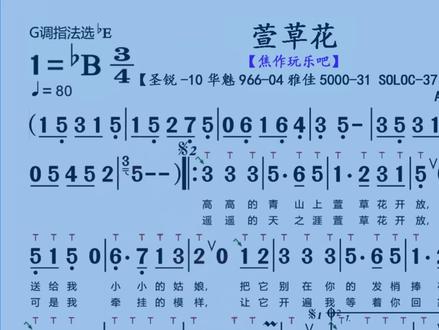 《萱草花》技巧动态简谱伴奏。