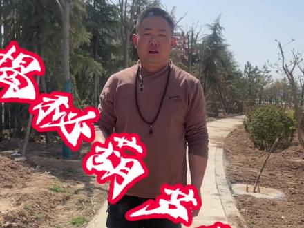 葫芦盘玩,除了“净”,还要“静”。静在这里有两层含义,一是代表文静,二是代表心静。