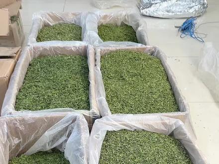 精品礼盒送礼春茶 100到600的价格都有,精品高货,顺丰快递现场打包#礼盒 #礼盒包装#送礼佳品 #好茶推荐 #现场打包