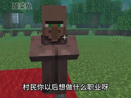 村民的职业选择#mc不灭 #mc #mc酸菜鱼 #我的世界