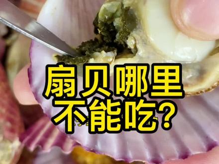 扇贝哪里不能吃?很多人都吃错了#扇贝