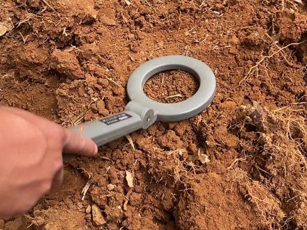 680元买的冬笋探测仪,能探到冬笋吗?是不是被交了智商税? #挖冬笋 #冬笋探测仪 #新农人计划2023