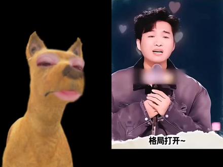 和 @浮生一梦 一起 #合拍