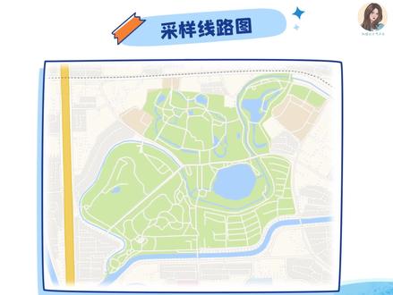 PPT如何制作路线图#左西微课 #课件 #微课 #老师
