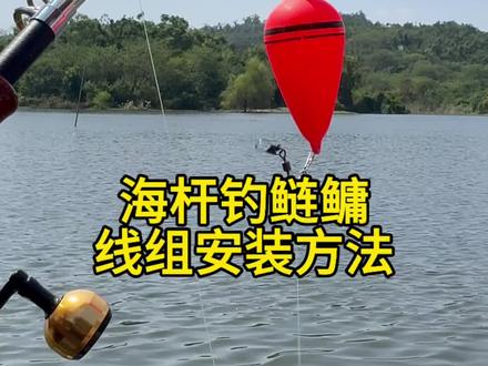 30秒教会你海杆钓鲢鳙线组安装方法#鲢鳙线组 #钓鱼教学