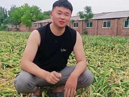 大蒜不抽蒜苔对大蒜产量有影响吗? 对比实验可以很直观的看到,不抽苔对大蒜产量影响还是比较大的,种植大蒜一定要抽臺!#真实生活分享计划 #新农人成长记 #2026新农人计划 #回乡助农 #辉哥讲农技 #皓影超能进化勇闯AI世界
