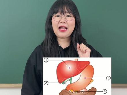 七下生物重要识图之重要识图 #初中生物 #期末复习 #生物学习方法 #老万课堂 #消化系统识图