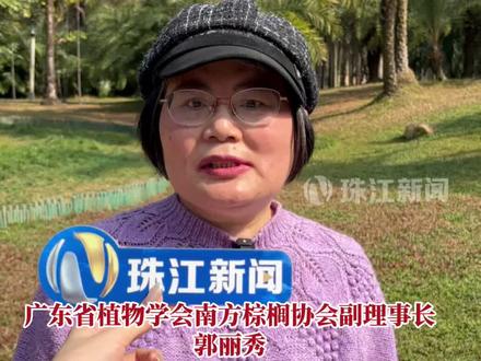 前往东南亚的游客需注意警惕这类树汁 它们也可能携带尼帕病毒