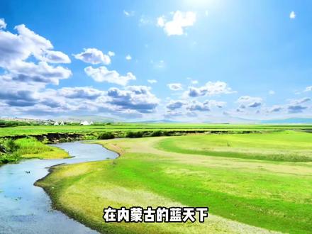 不会跳舞的人,是不是都不好意思去内蒙音乐节 #北疆音乐节