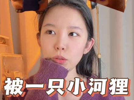 河狸变身计划也太好看了!!!#电影 #河狸变身计划 #迪士尼 #皮克斯 #测评