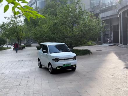 吉利熊猫最全车机使用教程,记不住的先点赞收藏!#吉利熊猫#熊猫mini #用车小知识 #带你懂车