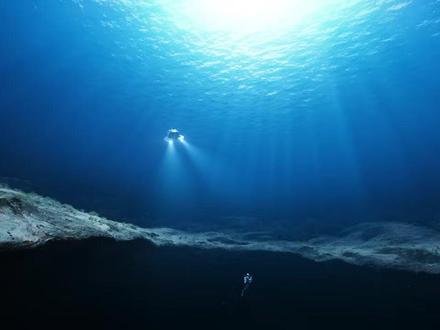 【深海迷航】死神利维坦-游戏动画 #深海迷航 #动画