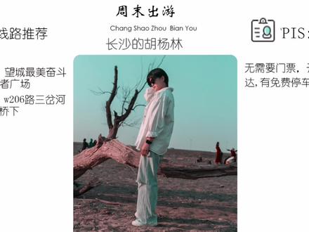 被称为长沙的“大西北”胡杨林,但这里不是大西北这里是长沙望城团山湖,很有西北的感觉。#长沙周边游 #湖南美好推荐官 #拍照打卡 @DOU+小助手
