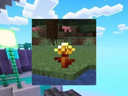 这个是什么水果(第二季)