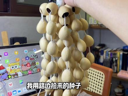 #手工diy #2025就要passion #凤凰蛋 #手摇风铃 #手工 我用路边的种子做了一串脑袋进水~