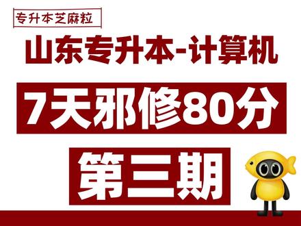 山东专升本计算机7天邪修-第三期 #山东专升本 #计算机 #专升本芝麻粒 #专升本计算机知识点