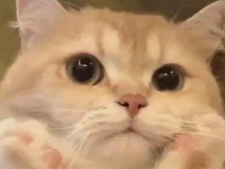 汽水音乐又放大招了 #汽水音乐 #热点 #好用