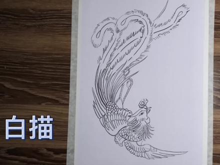 自学画画每日一画白描凤凰