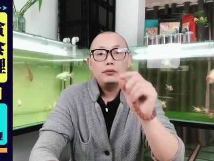 面对金鱼、锦鲤的异常行为,我要怎么做呢? #养鱼 #金鱼 #锦鲤 #蝴蝶鲤 #养鱼日记 #养鱼日志 #养鱼经验