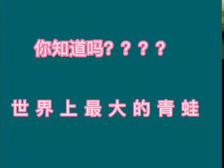 你知道世界上最大的青蛙是什么青蛙吗#万物皆有灵性