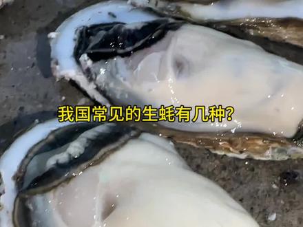我国常见的生蚝有几种,那种最好吃呢?