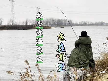 冬季降温当天鱼都在哪里?不同水深和环境对鱼情有着哪些影响。 #野钓#鲫鱼#冬季钓鱼指南 #钓鱼技巧#钓鱼知识