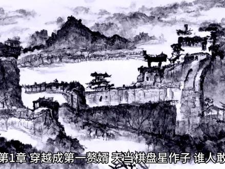 无脑穿越小说,##镇国驸马爷