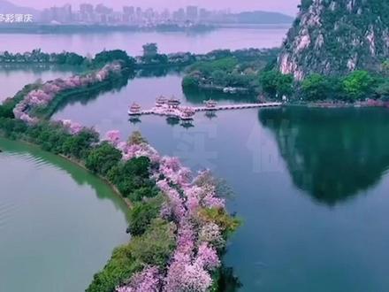 文旅宣传怎么做?我说白了...... #抽象#我说白了#废话文学#旅游推荐官#活力广东时尚湾区