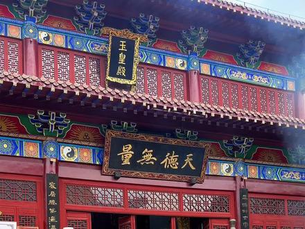 惊蛰是全年最易"一语成谶"的时刻,所以今天你一定要对自己说几句谶语:
我今年的状态很好,面对一切困难和挑战都能迎刃而解并且能够学习和进步,今年定当收获颇丰,一劳永逸!
关键点:今日要"破谶"
告诉自己:以前所有说过对自己和家人不利的通通作废。