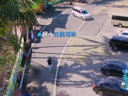#吴泽林一人遛三狗#吴泽林帅气不过一秒钟😂#亲爱的客栈