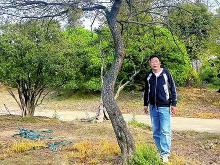 谁能拒绝一棵枝干舒展、姿态绝美红梅花树,每一处枝桠都写尽浪漫 #红梅#别墅庭院植物