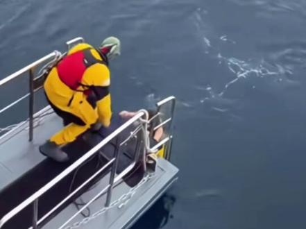 #抖音玩法合伙人计划 任敏生理期第一天雀南极跳水
跳水那玄I毫不犹豫太勇敢了
网友:女孩子本来就宫寒,这样会多多少少影响生育#万能的抖音