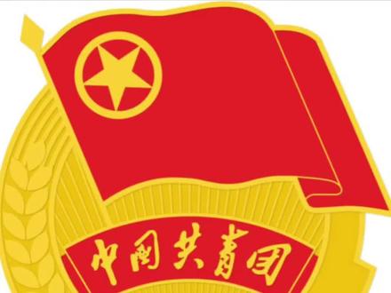 一定要查一查孩子的团员信息