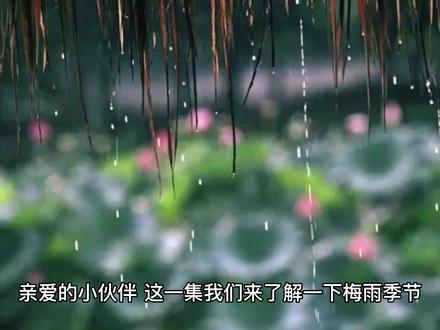 涨知识,什么是梅雨季节?梅雨季节需要注意什么?
