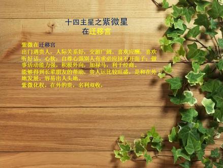 基础知识 看看吧