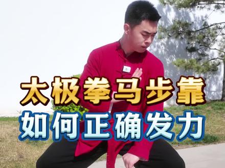 #太极拳 的发力难点在于下盘#太极拳教学 #功夫一鸣