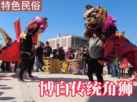 广西博白传承千年的角狮文化,会不会被毛狮取代?大家觉得那种好 #中国风我创造