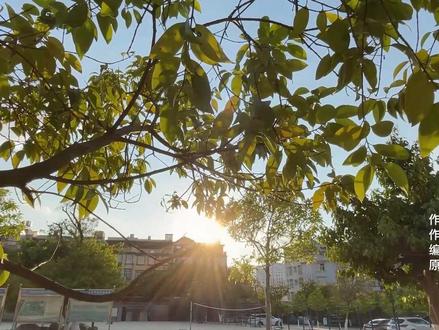 应老师要求,耗时两天制作了囡囡的第一支MV,建议横屏观看 #如愿 #MV #翻唱 #自制MV #玉溪新平 #花嫁雾语 #新平二中