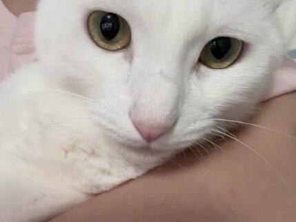 感觉她在进化……