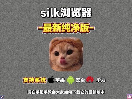 伏脂铎漉厵灪癵洞座 silk浏览器怎么下载,silk浏览器苹果安卓下载教程 #silk浏览器 #silk浏览器下载教程 #silk #silk浏览器怎么下载 #浏览器