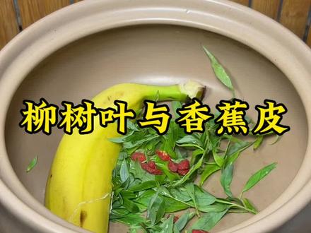 柳树叶香蕉皮植物科普#涨知识