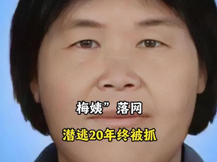 梅姨”落网!潜逃20年终被抓,真实容貌大变样 模拟画像相似度不足三成