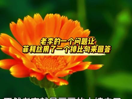 老李问菲利丝了一个问题,菲利丝的回答字字不提感谢,句句却都是感谢的意义#菲利丝 #菲利丝农村媳妇 #信任