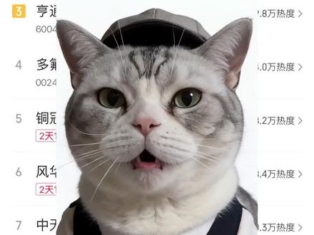 6-16周二 锐评今日热门股 #散户 #A股 #股票 #同花顺