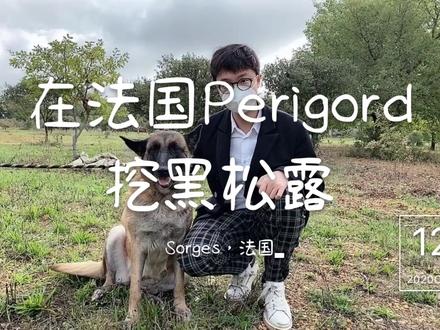 在#法国perigord地区挖 #黑松露 #我的生活日记 #秋季时尚打卡 #心动的旅行 #美食