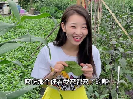 难怪花包谷一把年纪了还单身。#爱笑的徐幺妹#搞笑