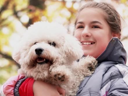 养比熊的好处,体验过才知道!#比熊犬 #养狗的好处 #宠物成精啦 #养狗的乐趣 #萌宠出道计划