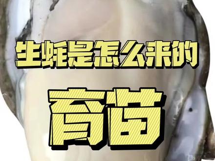 生蚝是怎么来的呢,是不是很好奇?#生蚝养殖 #原产地生蚝 #生蚝 #生蚝批发 #鸡煲 @DOU+小助手